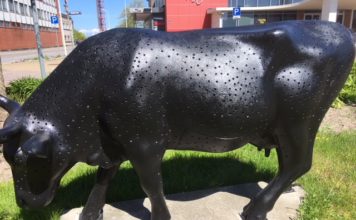 Arī NEPLP konstatē iespējamus priekšvēlēšanu aģitācijas pārkāpumus Ventspilī