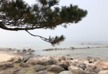 Šonedēļ paliks nedaudz vēsāks, un no rītiem būs migla