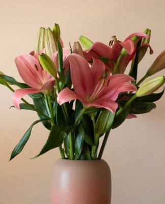 Šonedēļ populārākie vārdi – Anna un Renārs