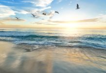 Sestdien pēc lietaina rīta sekos saulaina diena