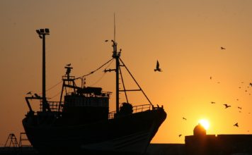 Aicina zvejniekus pieteikties uz zvejas tiesību nomu Baltijas jūras Ventspils piekrastes teritorijā