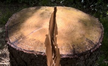 Pretnostatīšanas sekas