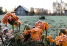 Laika prognoze 18.novembrim un pārējai nedēļai