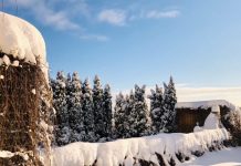 Šonedēļ var gaidīt pat –25 grādu salu