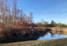 Latvijā marta izskaņa būs auksta, un aprīlis sāksies ar sausu laiku