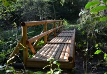 Novadā aicinās izstaigāt takas