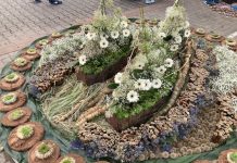 Floristi atzinīgi vērtē Ventspils starptautisko ziedu paklāju festivālu