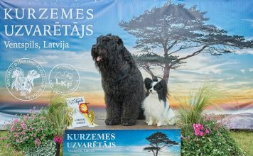 Reņķa dārzā notiks suņu izstāde