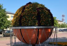 Ziemas noformējumā tērpjas Ventspils ziedu skulptūras