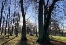 Lāčplēša diena būs vējaina, bet nedēļas nogale – neparasti silta