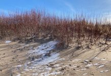 Brīvdienās gaidāma snigšana un stipras vēja brāzmas, jaunnedēļ paliks vēsāk