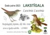 2023.gada putns – lakstīgala – Ventspils muzeja muzejpedagoģiskajā programmā