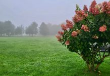 Brīvdienās temperatūra pazemināsies, oktobris iesāksies rudenīgi
