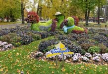 Noslēdzies rudens fotokonkurss “Mazulis sagaida zelta rudeni Ventspilī”