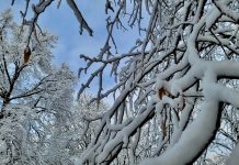 Brīvdienās gaidāms sniega pieaugums un aukstuma vilnis