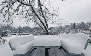 Gaisa temperatūra brīvdienās būs -13 grādu robežās