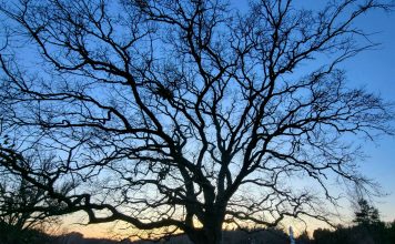 Jaunā nedēļa iesāksies ar ziemai raksturīgiem laikapstākļiem
