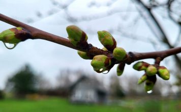 Šonedēļ kļūs aukstāk, palaikam gaidāmi nokrišņi