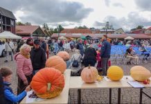 Ventspils ķirbju svētki un ķirbju parāde 2024