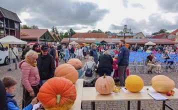 Ventspils ķirbju svētki un ķirbju parāde 2024