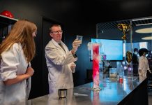 2024. gads Digitālajam centram noslēdzies ar iestrādni nozīmīgu projektu realizēšanai