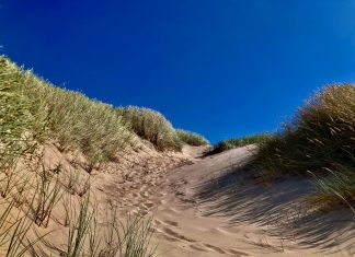 Šonedēļ – no lietus un miglas līdz siltām un saulainām dienām