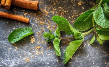 Piparmētras – dārzā un uz palodzes:  receptes un padomi ziemas krājumiem